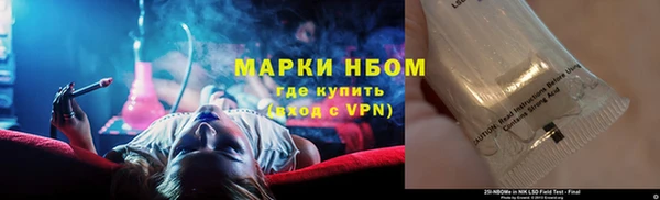 шишки Михайловка