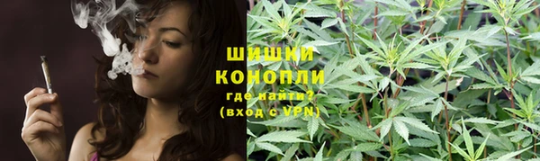 шишки Михайловка