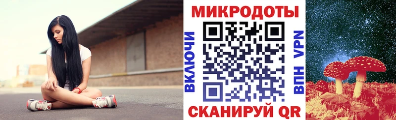 Купить закладки Правдинск Псилоцибиновые грибы Psilocybine cubensis